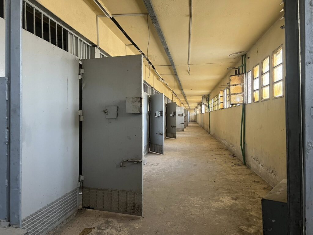 597388571 10166389653521754 3061012525083305074 N